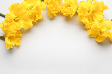 Frame of beautiful narcissus flowers on light background