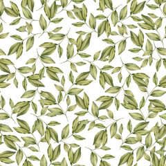 Floral seamless watercolor pattern - a composition of green leaves and branches on a white background. Perfect for wrappers, wallpapers, postcards, greeting cards, wedding invitations.