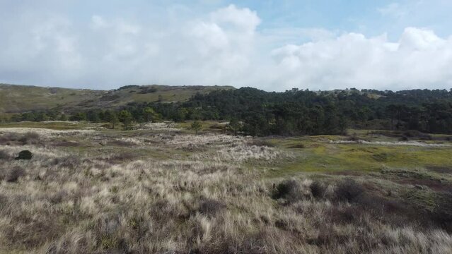 Dunes de Biville Natural Reserve and Heritage Site in France Normandy