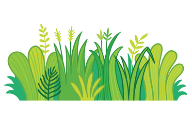 Grass on a white background. Vector illustration