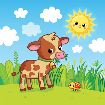 Cute calf is standing in a summer meadow.