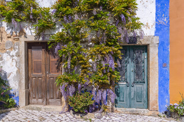 Fototapeta na wymiar Blooming wisteria vines on a building in Portugal.