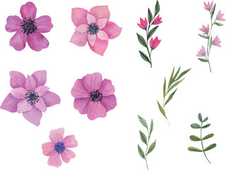 Set of beautiful hand drawn flowers in retro style. Hand drawn vector illustration