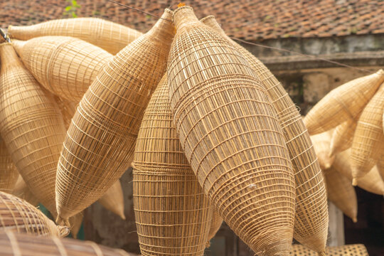 Weaving bamboo fish trap with basket in Hanoi, Vietnam.