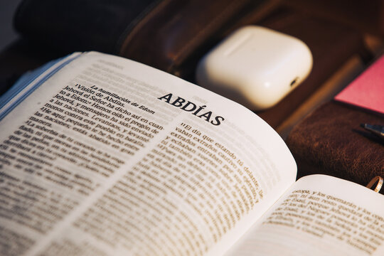 Libro de Abd&iacute;as en la biblia	
