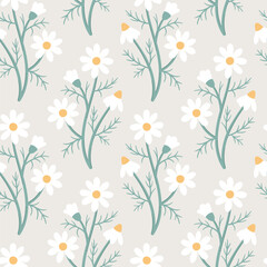Delicate chamomile flowers on a gray background. Floral seamless pattern.