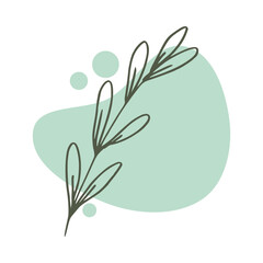 Hand drawn leaf with an aesthetic shape or aesthetic blob simple decoration