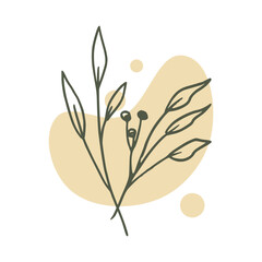 Hand drawn leaf with an aesthetic shape or aesthetic blob simple decoration