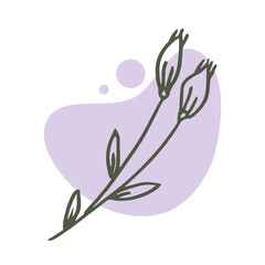 Hand drawn leaf with an aesthetic shape or aesthetic blob simple decoration