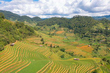 Obraz premium Aerial top view of fresh paddy rice terraces, green agricultural fields in countryside or rural area of Mu Cang Chai, mountain hills valley in Asia, Vietnam. Nature landscape background.