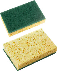 Sponge