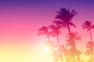 Silhouette of palm trees on sunset sky background - obrazy, fototapety, plakaty