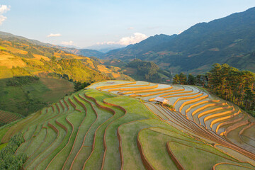 Fototapeta premium Aerial top view of fresh paddy rice terraces, green agricultural fields in countryside or rural area of Mu Cang Chai, mountain hills valley in Asia, Vietnam. Nature landscape background.