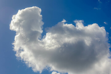 Obraz premium Beautiful white fluffy cloud floating in blue sky in sunny day, Cumulus are clouds which have flat bases and are often described as puffy, Horizon nature background with free copy space.