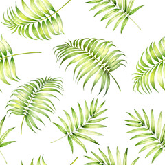 Tropical palm leaves pattern. Green watercolor leaf