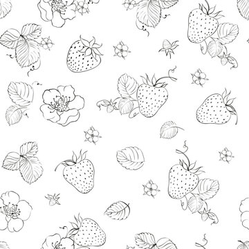 Strawberry seamless pattern. Vector botanic.