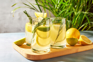 Refreshing summer cocktails, drinks with fresh fruits. Cold water with lemon and lime. Detox cocktail.