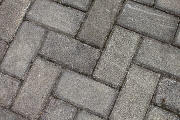 the view of the rice fields is green and cool