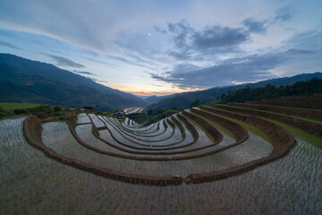 Aerial top view of fresh paddy rice terraces, green agricultural fields in countryside or rural area of Mu Cang Chai, mountain hills valley in Asia, Vietnam. Nature landscape background.
