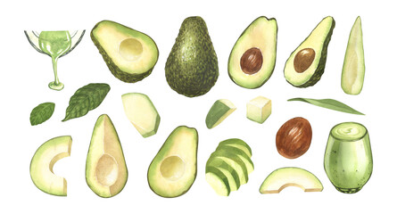 Watercolor set of fresh whole and sliced avocado. Hand-drawn illustration isolated on white background. Perfect food menu, healthy food drawing, design packing.