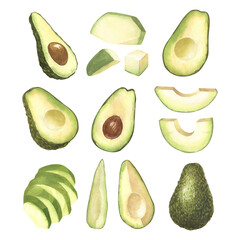 Watercolor set of fresh whole and sliced avocado. Hand-drawn illustration isolated on white background. Perfect food menu, healthy food drawing, design packing.