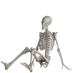 skeleton posing 3d render illustration