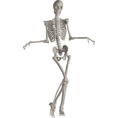 skeleton posing 3d render illustration