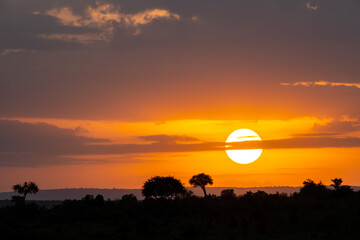 Fototapeta na wymiar Beautiful orange colorful sunrise over the Masai Mara in Kenya, Africa