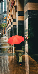 Red Umbrella In the Rain