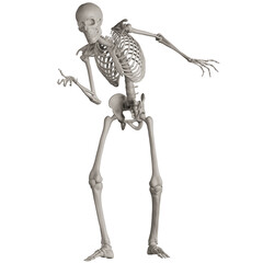 skeleton posing 3d render illustration with transparent background