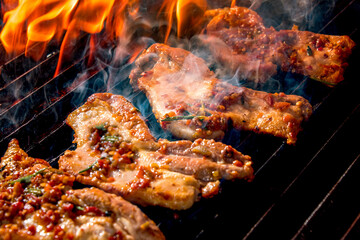grilled meat on the grill