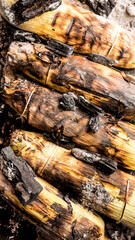 Roasting Corn in the Embers