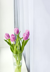 Delicate tulips on a lighted windowsill. Greeting card for Mother's Day or 8 March. Place for text, selective focus