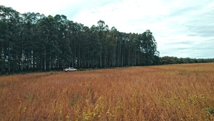 Obraz premium Farmer driving pickup truck in soy farm