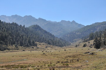 monta&ntilde;a de merida