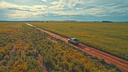 Farmer driving pickup truck in soy farm