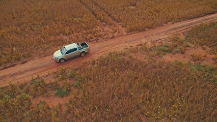 Obraz premium Farmer driving pickup truck in soy farm
