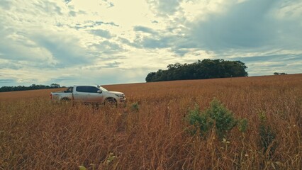 Farmer driving pickup truck in soy farm