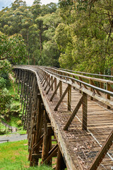 The Noojee Trestle Bridge is an impressive 100-metre long (330 ft) trestle bridge. The trail follows the alignment of the former Noojee railway line.