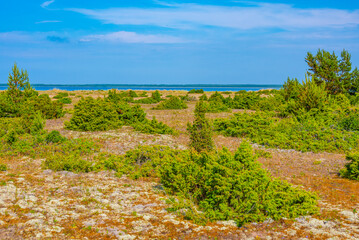 Natural landscape of Kiipsaare peninsula in Estonia