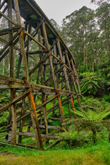The Noojee Trestle Bridge is an impressive 100-metre long (330 ft) trestle bridge. The trail follows the alignment of the former Noojee railway line.