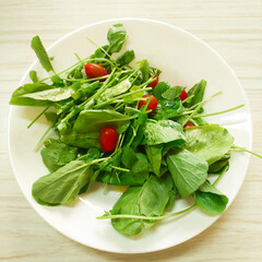 fresh salad with arugula and tomatoes