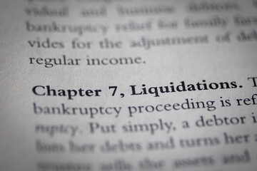 chapter 7 bankruptcy printed in text on page as visual aid or business law reference