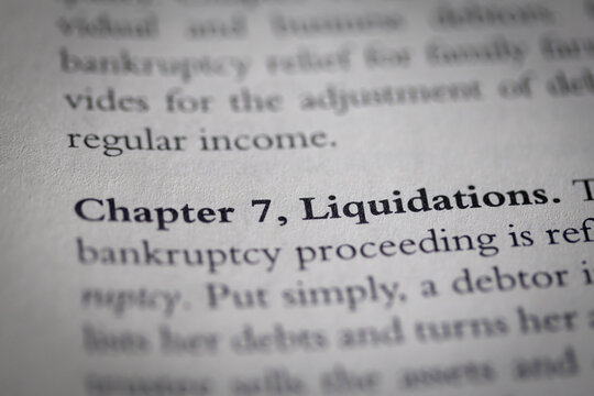 chapter 7 bankruptcy printed in text on page as visual aid or business law reference
