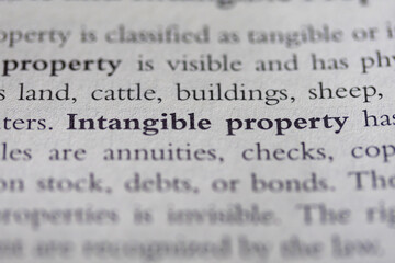 Fototapeta premium intangible property printed in text on page as visual aid or business law reference