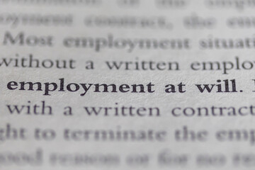 employment at will printed in text on page as visual aid or business law reference