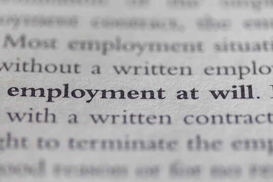 employment at will printed in text on page as visual aid or business law reference