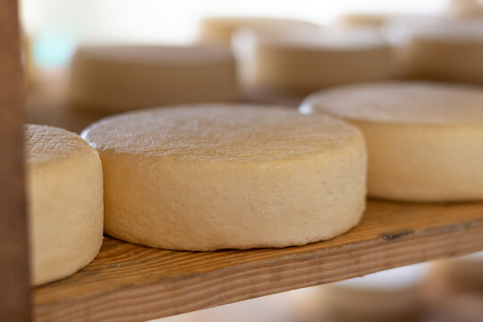 Queijo da Serra da Canastra - Minas Gerais