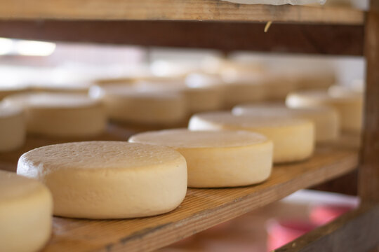 Queijo da Serra da Canastra - Minas Gerais