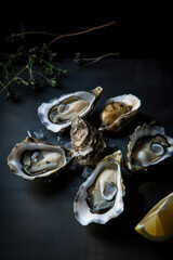 Fresh Oysters on Rustic Wooden Table